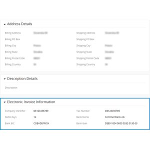 Electronic Invoice Information block